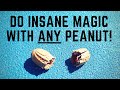 DO MIND-BLOWING MAGIC WITH ANY PEANUT (Learn the Awesome Secret!)