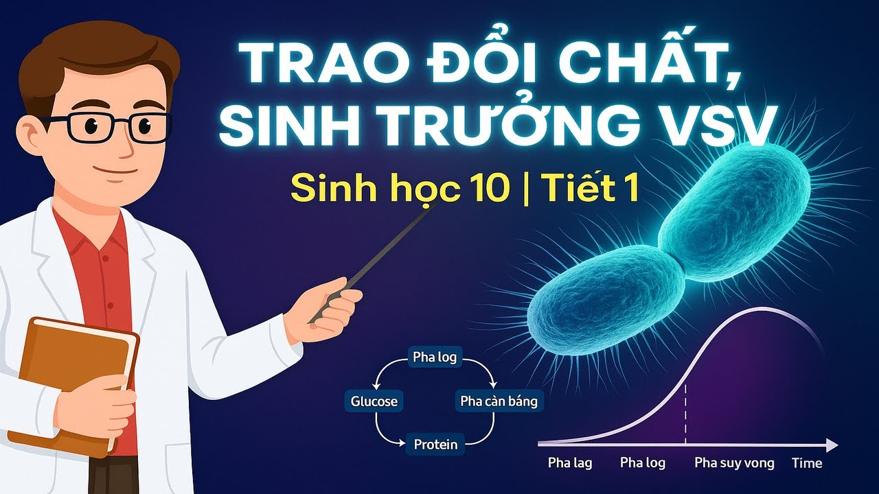 Trao Đổi Chất, Sinh Trưởng & Sinh Sản Ở Vi Sinh Vật | Bài Giảng Chi Tiết – Sinh Học 10 Tiết 1