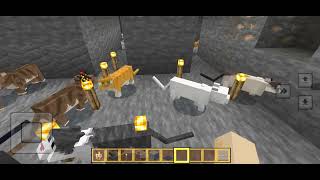 Elsa Poo Poo Pictures