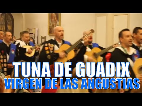 🔴 TUNA DE GUADIX - 25 años cantando a su patrona, la VIRGEN DE LAS ANGUSTIAS