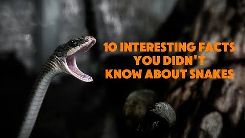 10 interesting facts you didn