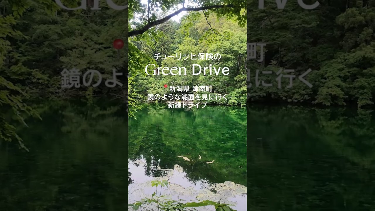 【新潟】まるで鏡！初夏に行くべき神秘の湖