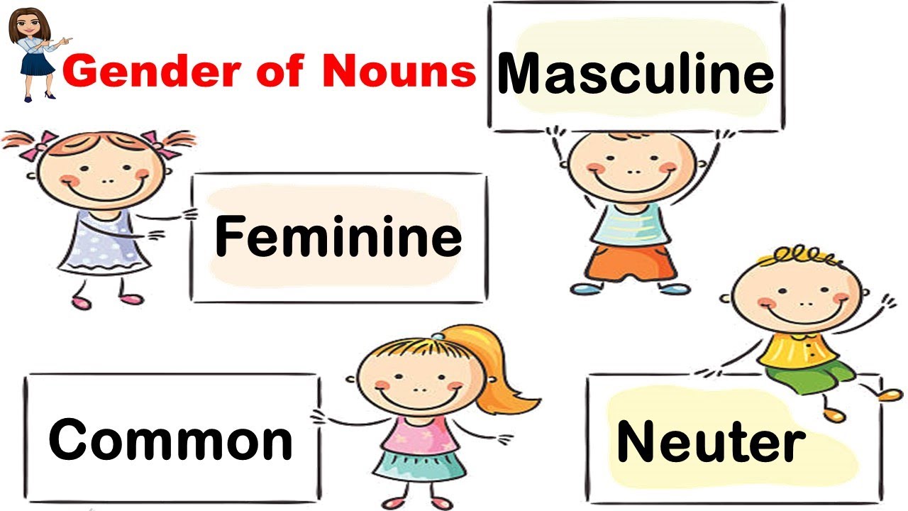 Gender Of Nouns Kinds Of Gender Wailea Town Center Maui