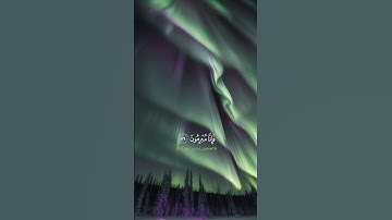 آيات من سورة الزخرف - ياسر الدوسري #quran #القرآن_الكريم #religion #palestine #فلسطين
