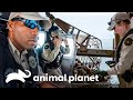 Guardas perseguem um barco de pesca suspeito | Patrulheiros da Natureza | Animal Planet Brasil