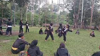 SAMBUNG || SPARING || PENGAMBILAN SABUK SILAT.