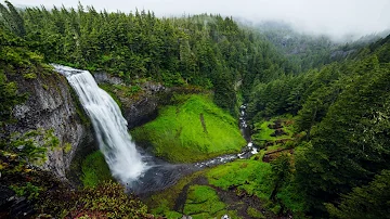 Guided Sleep Meditation with Gentle Nature Sounds: white noise Waterfall (into the forest)