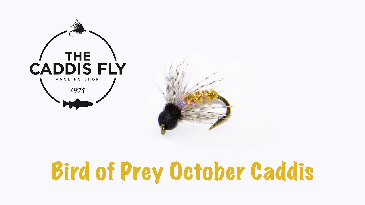 Bird of Prey October Caddis Fly Tying 