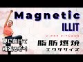 Illitmagneticillit  magnetic