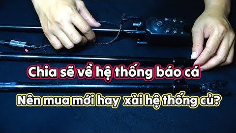 Chia sẻ về hệ thống báo cá mới - nên mua hay vẫn xài chuông báo cá củ| carp fishing bite alarm
