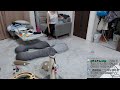 9시 라이브