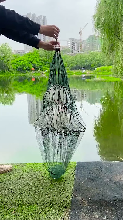 Foldable Umbrella Fishing Net Demo 2021-Does it Work？ 