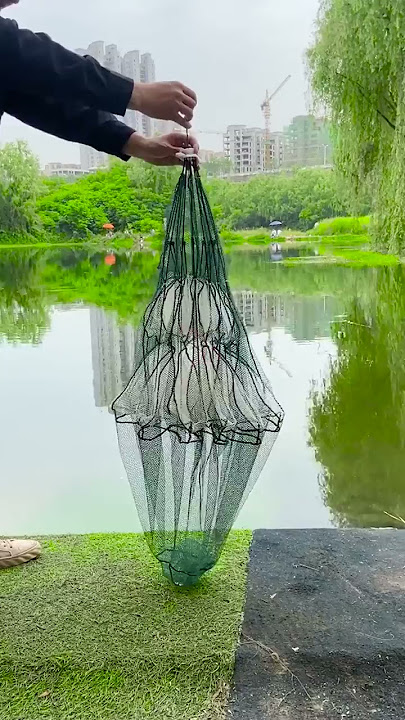 Foldable Umbrella Fishing Net Demo 2021-Does it Work？