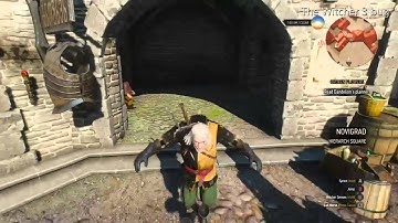 The Witcher 3 - floating head bug