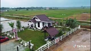 Tempat yg tenang dan sejuk,Rumah di tengah Sawah |Sejuk