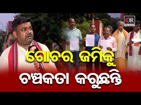 ଗୋଚର ଜମିକୁ ଚଞ୍ଚକତା କରୁଛନ୍ତି | Odisha Reporter