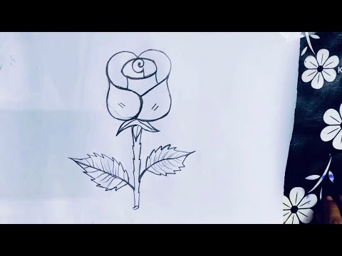 এস (s) দিয়ে গোলাপ ফুল আঁকা শিখুন  ☂️easy rose drawing  ⚽ easy technicue