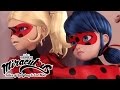 Miraculous Ladybug | 🐞 Antibug 🐞 | Ladybug and Cat Noir | Animation