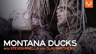 Steve and Clay Matthews go Duck Hunting by MeatEater 49,247 views 1 day ago 14 minutes, 3 seconds