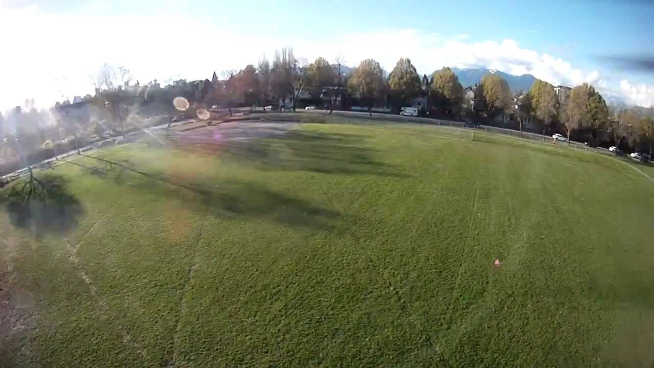 Dog day afternoon, way hyper dog dogs the Hoverbot2 right to touchdown. HB2 escape n evade!