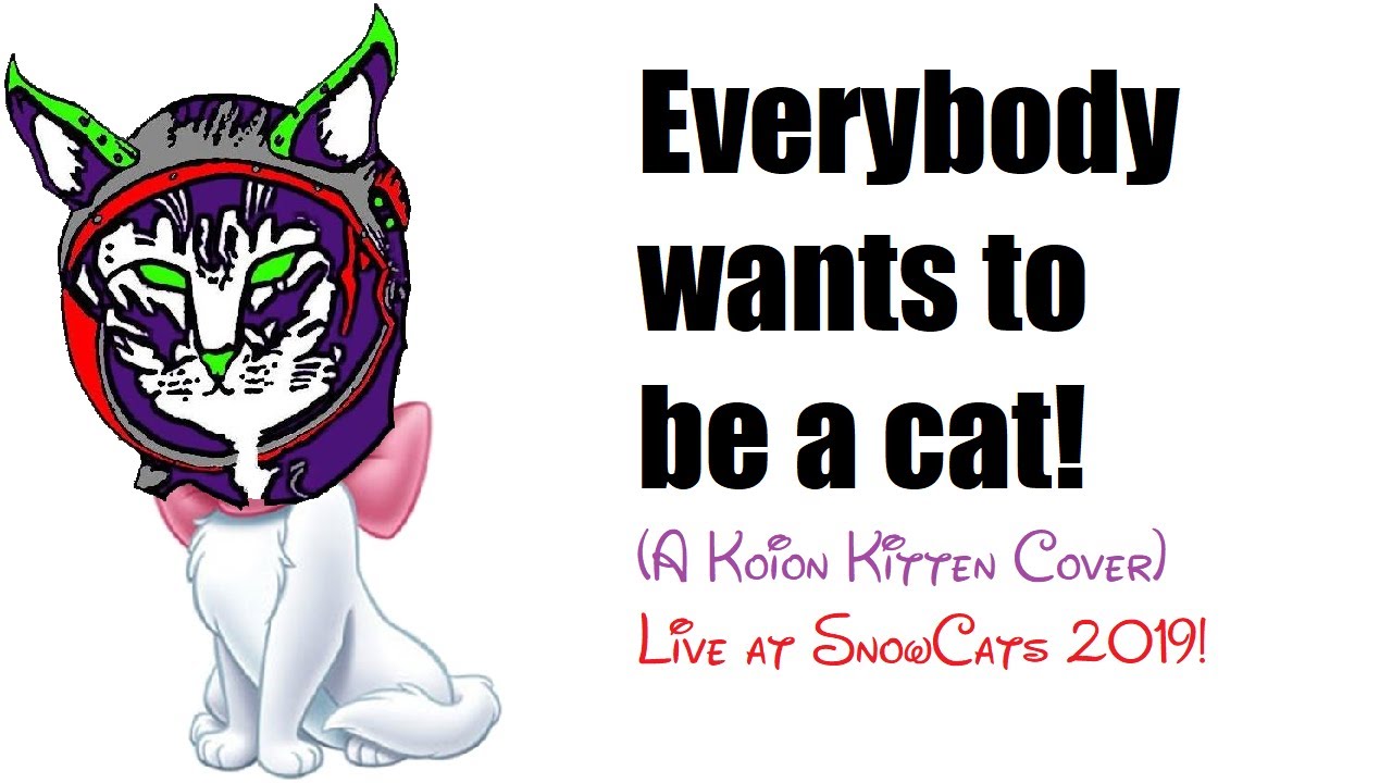 Everybody wanted to know. Everybody wants to be a Cat. Everybody wants to be a Cat текст. Everybody wants to be a Cat надпись. Худи Everybody wants to be a Cat.