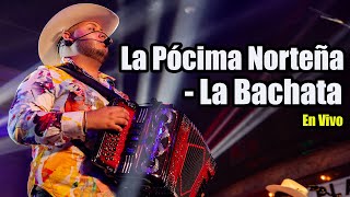 La Pócima Norteña - La Bachata En Vivo Plaza Mariachi