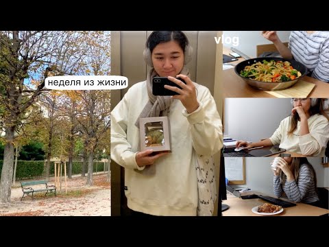 неделя из жизни на магистратурe | учеба, работа, круассаны