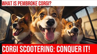 Exploring Dog Scootering with Pembroke Welsh Corgis