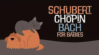 Baby Classical ⚡ SCHUBERT, CHOPIN & BACH ⚡ Piano Music for Babies