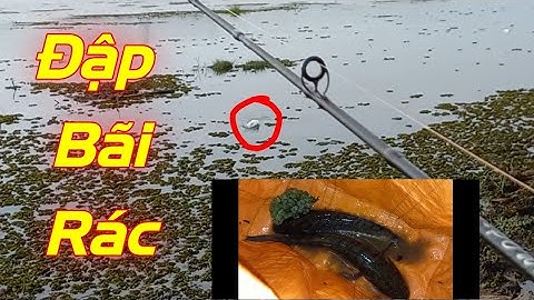 Rê Cá Lóc đập Bãi Rác | địa hình đẹp nhưng thưa cá | Quang Hưng Vlog