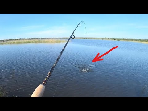 Daiwa Exceler UL Spin video