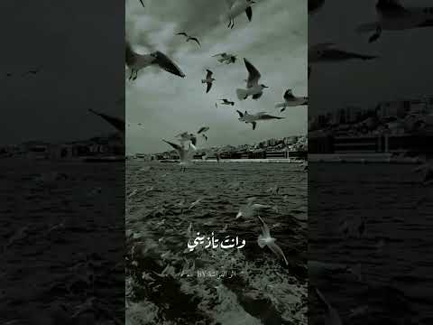 اشتاقيت بحضانك اغفى بلا خوف حالات واتس اب تصميمي