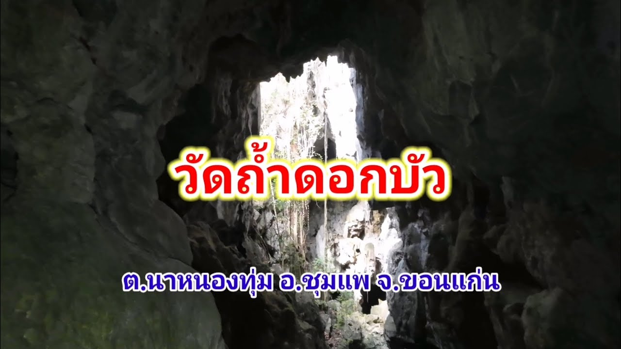 วัดถ้ำดอกบัว