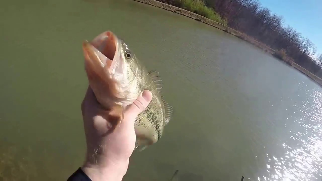 Catching Big Bass before heading to Class
