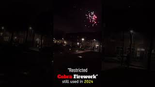 Banned COBRA Firework Explosion 2024