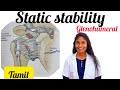 static stabilization of glenohumeral jointin tamil biomechanics of gelenohumeral joint