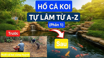 Hướng dẫn làm hồ cá koi từ A-Z (phần 1) | Thiết kế bể cá Koi đẹp | Nuôi cá koi cùng Huỳnh