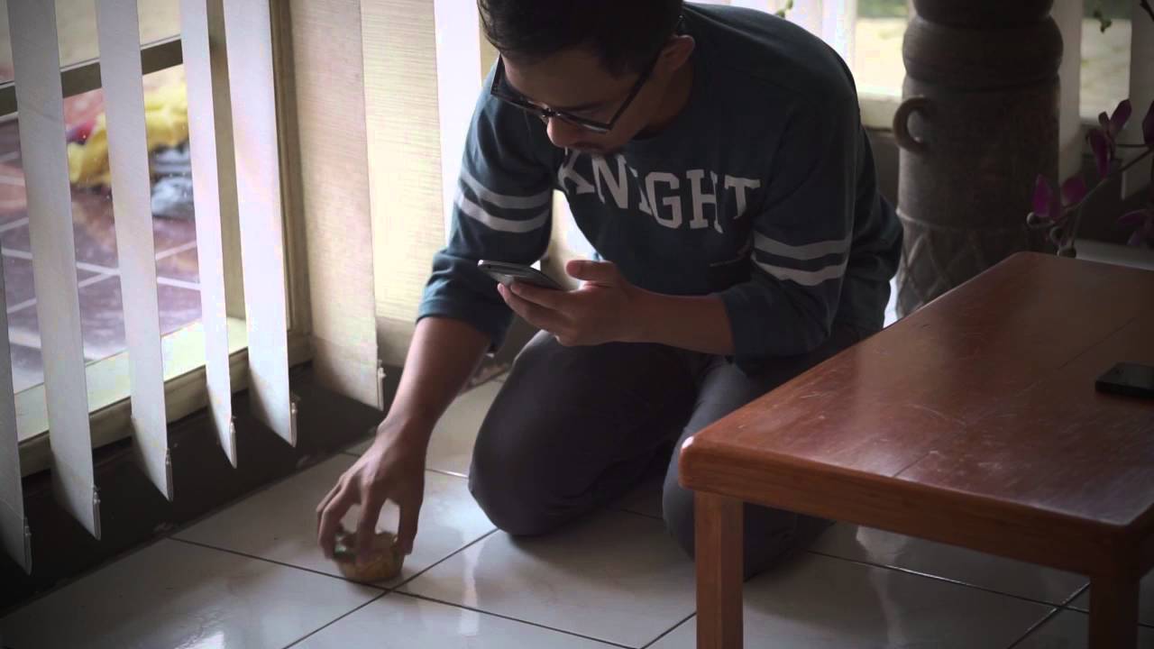 Magic vines game stopping bugs vicascale