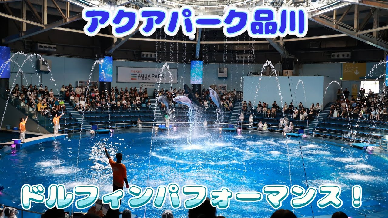 『アクアパーク品川』ドルフィンパフォーマンス~2025.9.16 Tue~