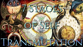 Alchemical Transmutation and Sacrifice: Practical Application/Process of the 7 Stages