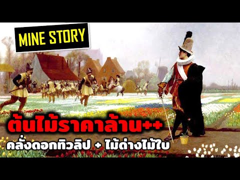 ต้นไม้ราคาหลักล้าน + ปรากฎการคลั่งดอกทิวลิป minestory