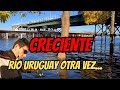  atencin  creciente del ro uruguay  otra vez suben las aguas 
