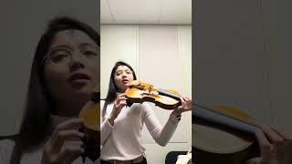 Chinrests Try Out!! #shorts #classicalmusic #music #violin