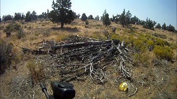 Apex 2 Barrel In Action