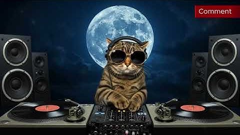 Thumbnail of R&B Rhythm & Moonlight – 90 Minutes of Smooth Uplift 【DJ Cat's Hideout R&B Playlist 40】
