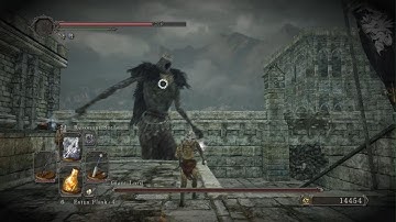 Giant Lord Boss Fight Hex Build Dark Souls 2