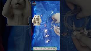 #منظم_ضربات_القلب #قسطرة_القلب #satisfying #anatomy #doctor #القسطرة #nurse #قسطرة #cathlabacademy
