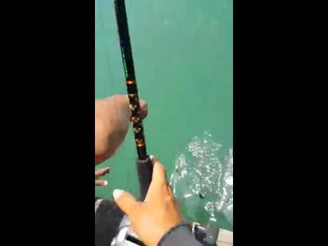 Tips Dari Nelayan Tarikh Ni Ikut Bulan Melayu Hari Paling Sesuai Memancing Laut Kenapa Semuanya Jdt