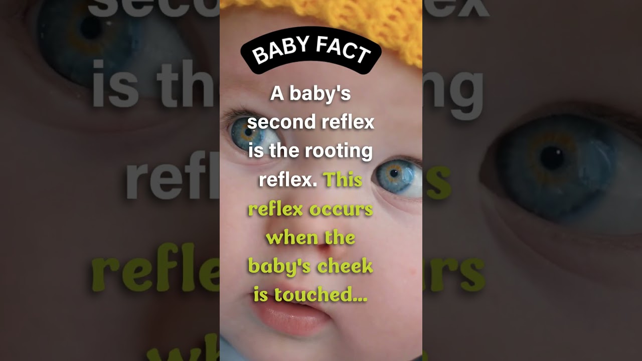 How Babies Find Food: The Rooting Reflex 