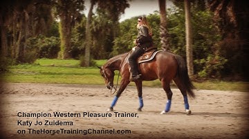 A Secret To Horse Training